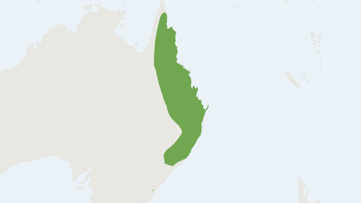 Range map of the Eastern Cave Bat (Vespadelus troughtoni)