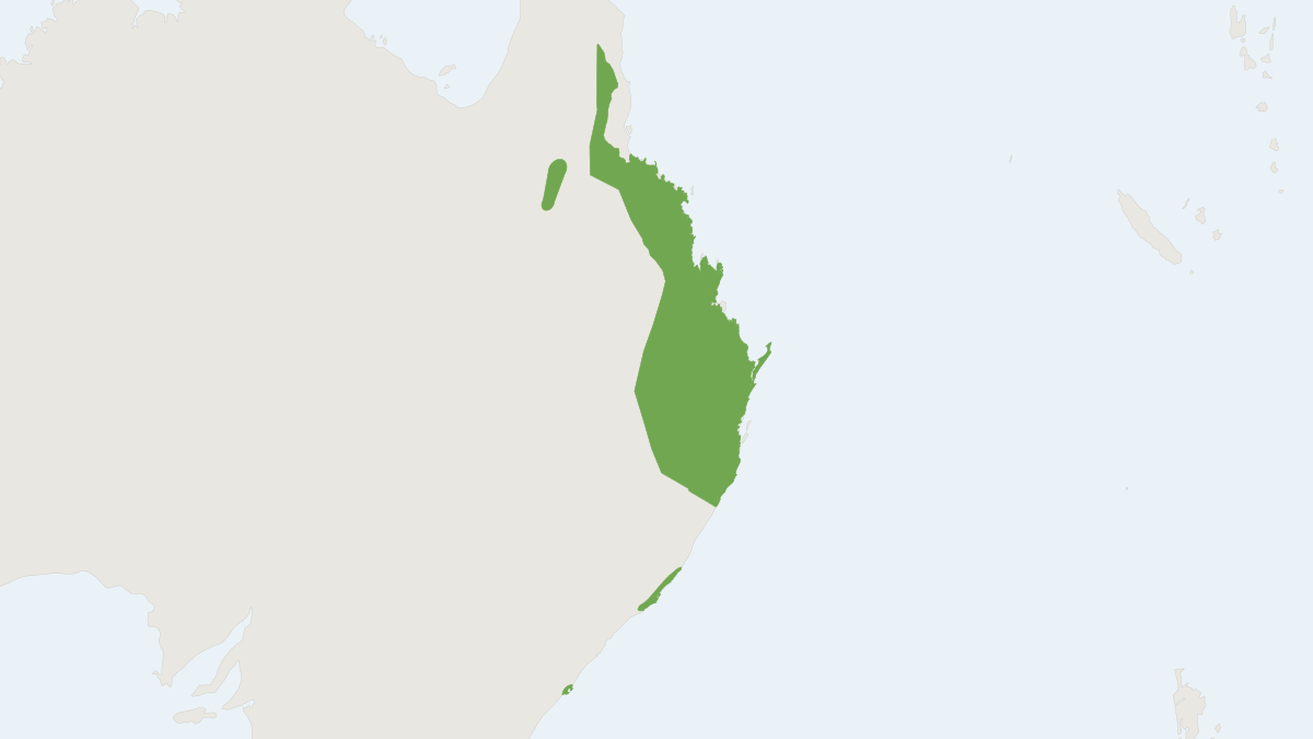 Range map of the Eastern Chestnut Mouse (Pseudomys gracilicaudatus)