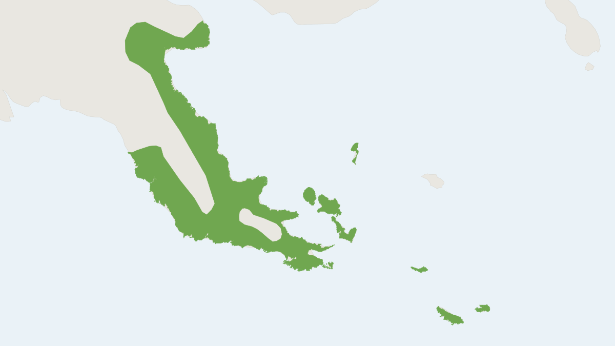 Range map of the Eastern Common Cuscus (Phalanger intercastellanus)