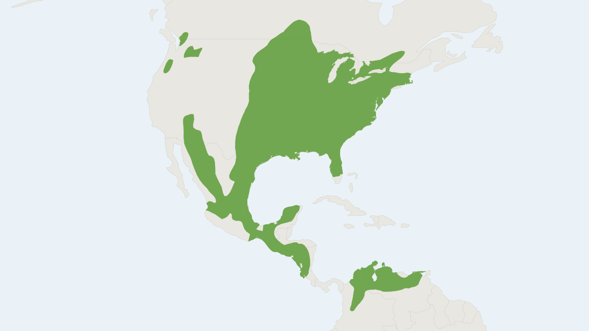 Range map of the Eastern Cottontail (Sylvilagus floridanus)