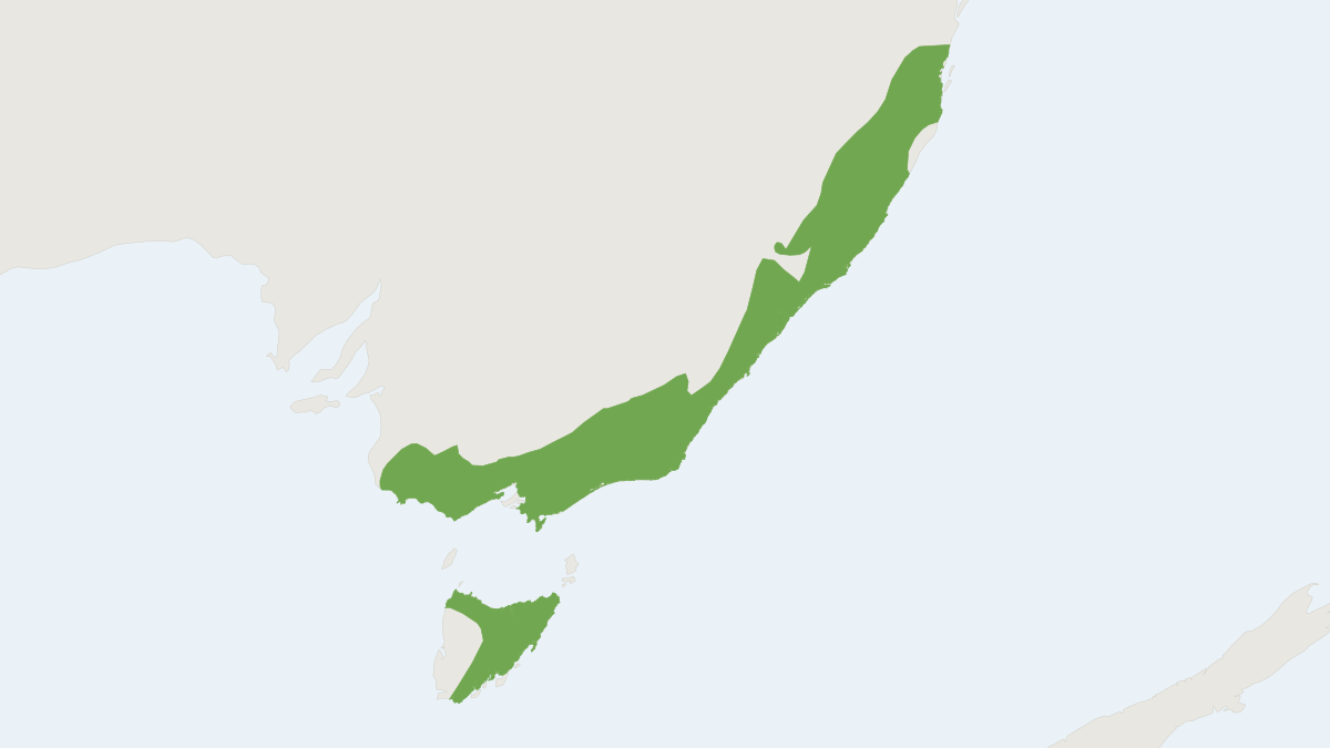 Range map of the Eastern False Pipistrelle (Falsistrellus tasmaniensis)