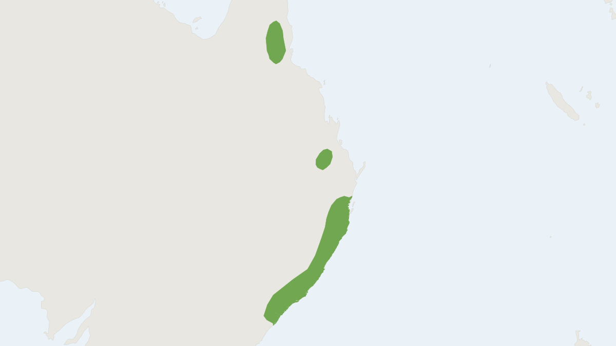 Range map of the Eastern Forest Bat (Vespadelus pumilus)