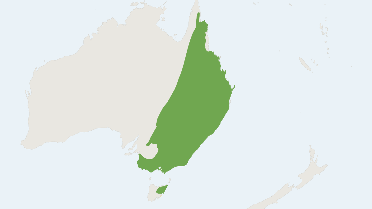 Range map of the Eastern Grey Kangaroo (Macropus giganteus) covering Australia and United Kingdom