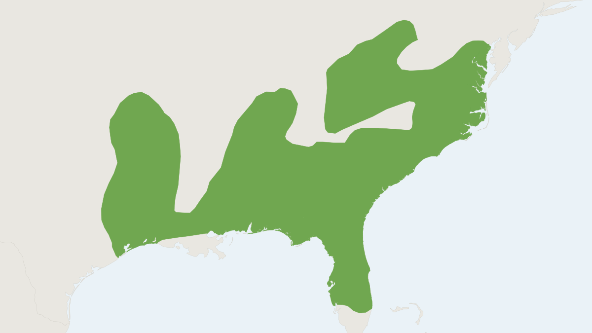 Range map of the Eastern Harvest Mouse (Reithrodontomys humulis)
