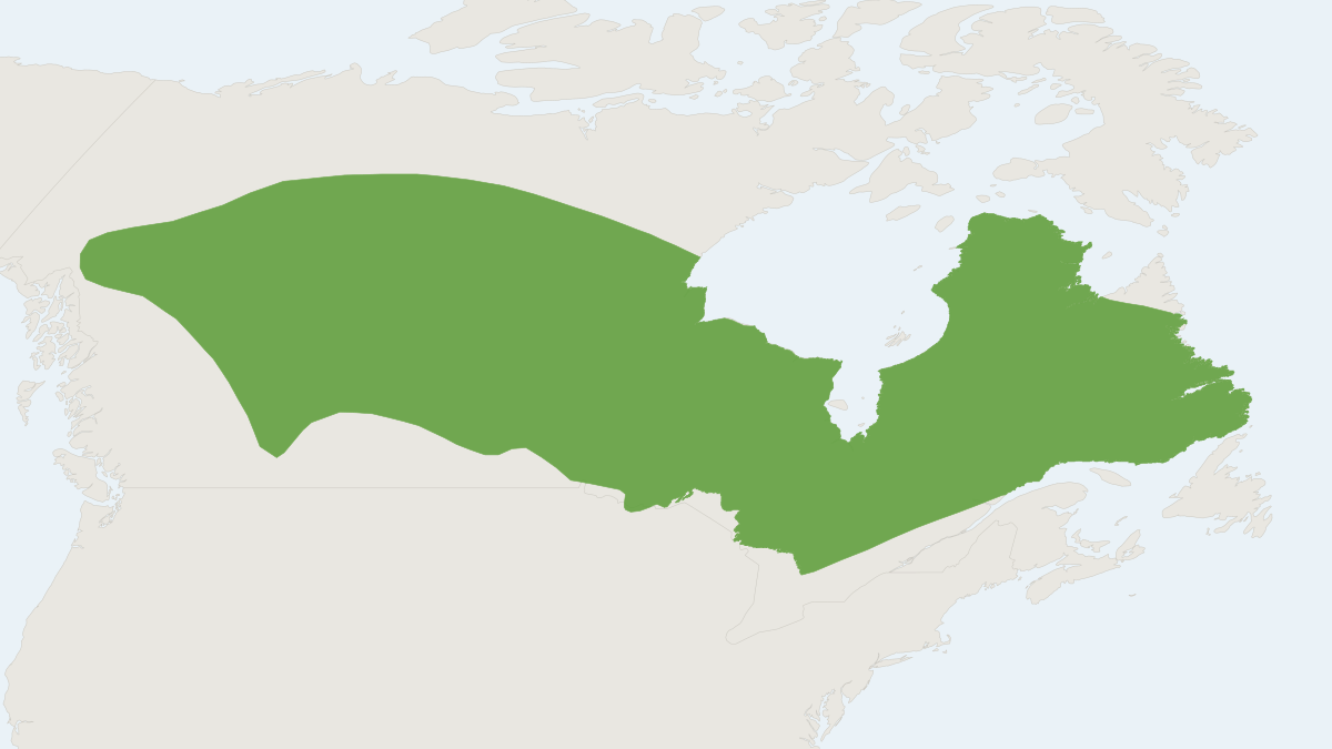 Range map of the Eastern Heather Vole (Phenacomys ungava)