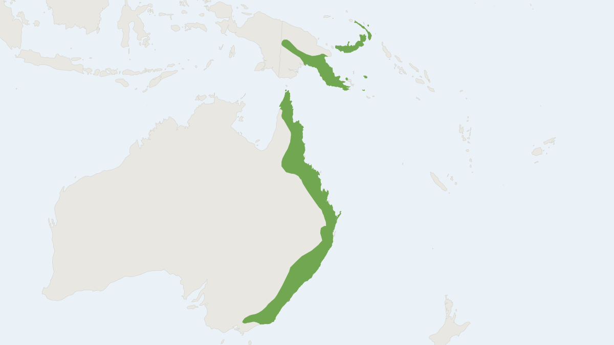 Range map of the Eastern Horseshoe Bat (Rhinolophus megaphyllus)