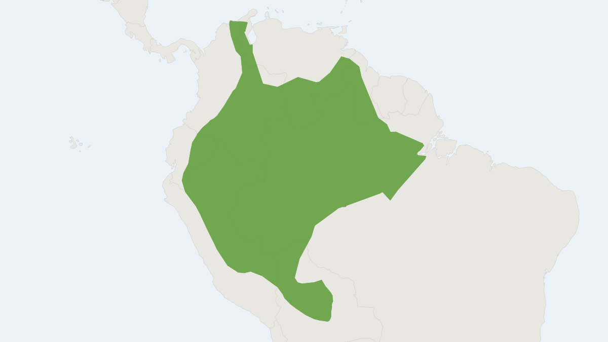 Range map of the Eastern Lowland Olingo (Bassaricyon alleni)
