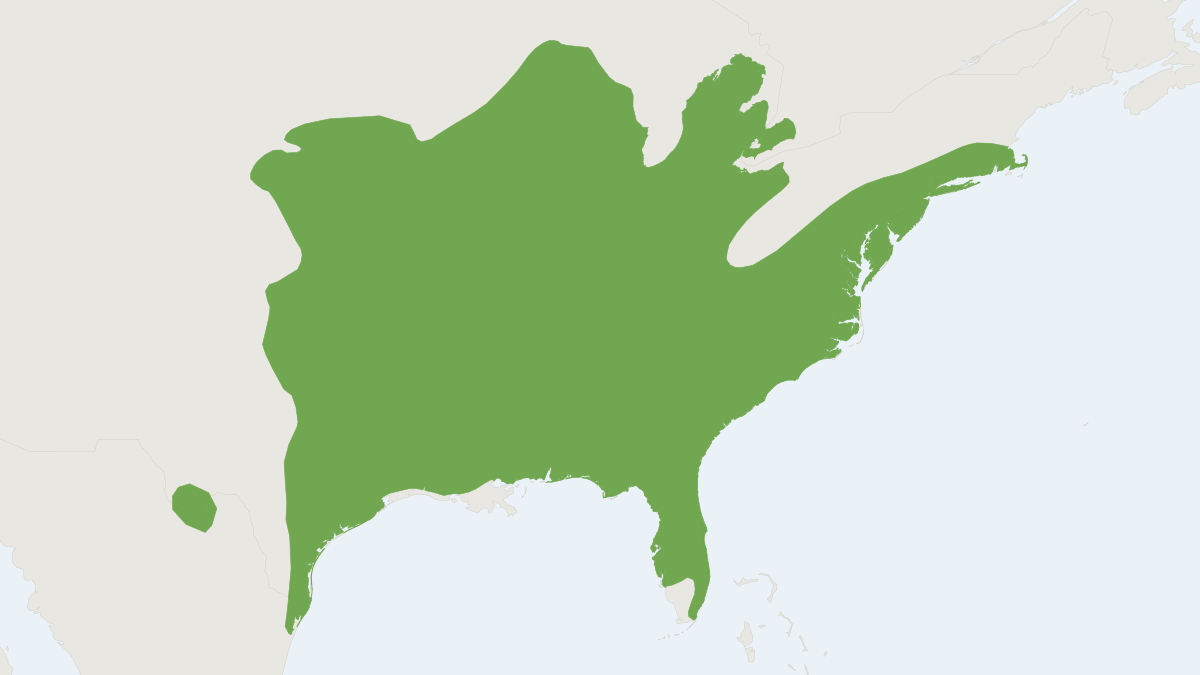 Range map of the Eastern Mole (Scalopus aquaticus)