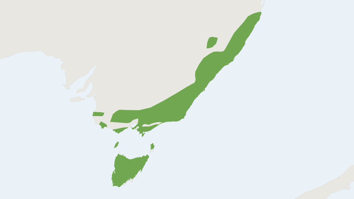 Range map of the Eastern Pygmy Possum (Cercartetus nanus)