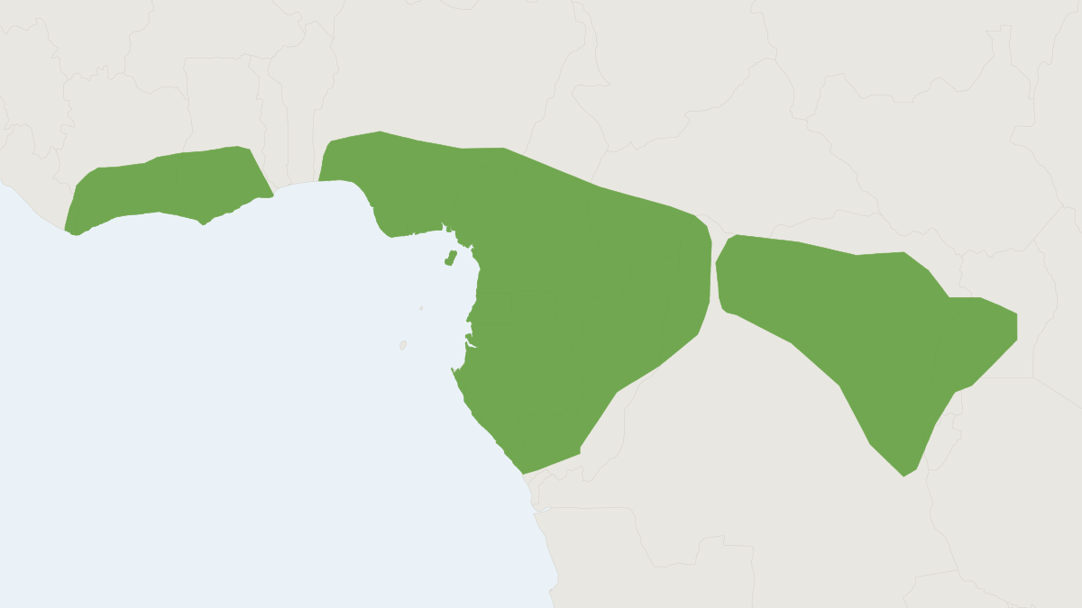 Range map of the Eastern Rainforest Grammomys (Grammomys kuru)