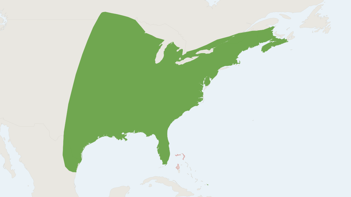 Range map of the Eastern Red Bat (Lasiurus borealis)