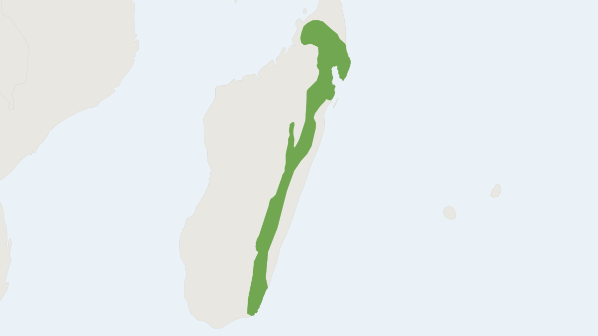 Range map of the Eastern Red Forest Rat (Nesomys rufus)