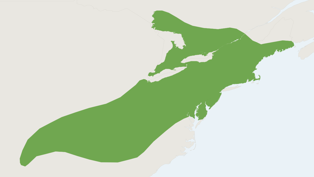Range map of the Eastern Small-footed Myotis (Myotis leibii)