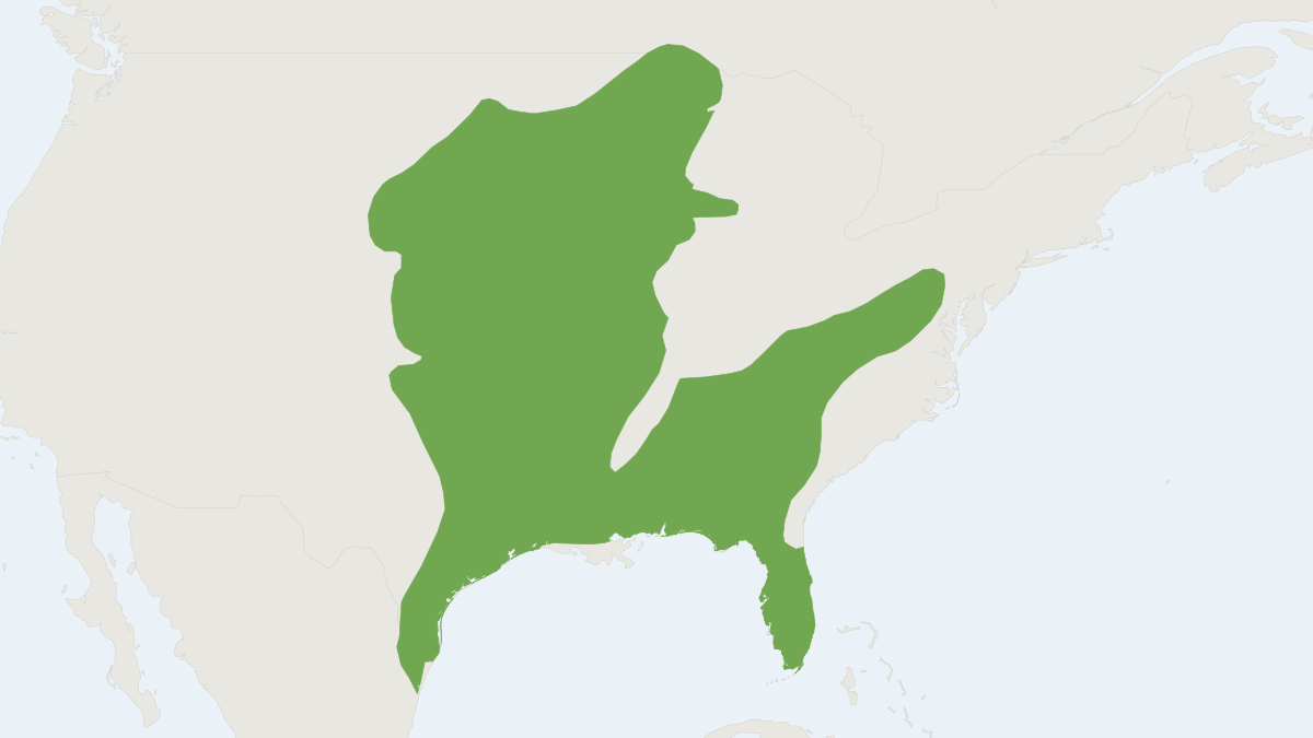 Range map of the Eastern Spotted Skunk (Spilogale putorius)