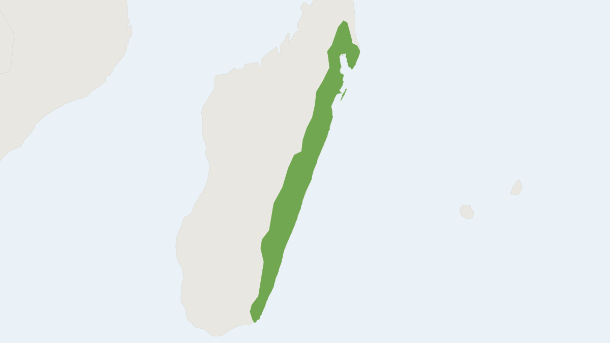 Range map of the Eastern Sucker-footed Bat (Myzopoda aurita)