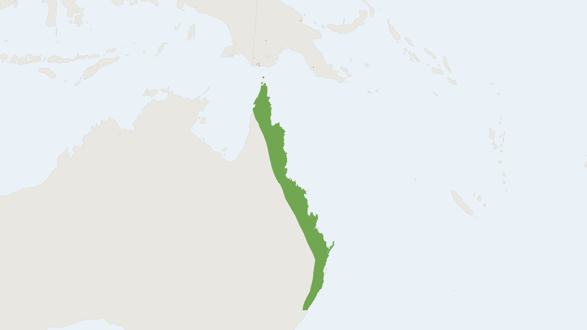 Range map of the Eastern Tube-nosed Bat (Nyctimene robinsoni)