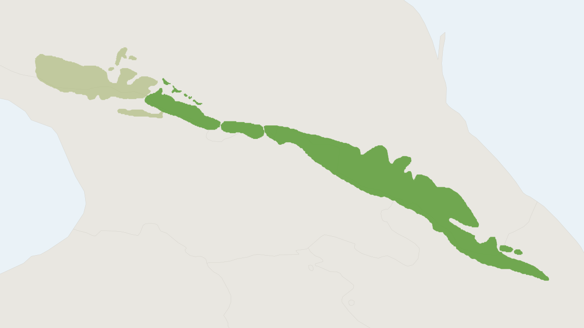 Range map of the Eastern Tur (Capra cylindricornis) covering Azerbaijan, Georgia and Russia