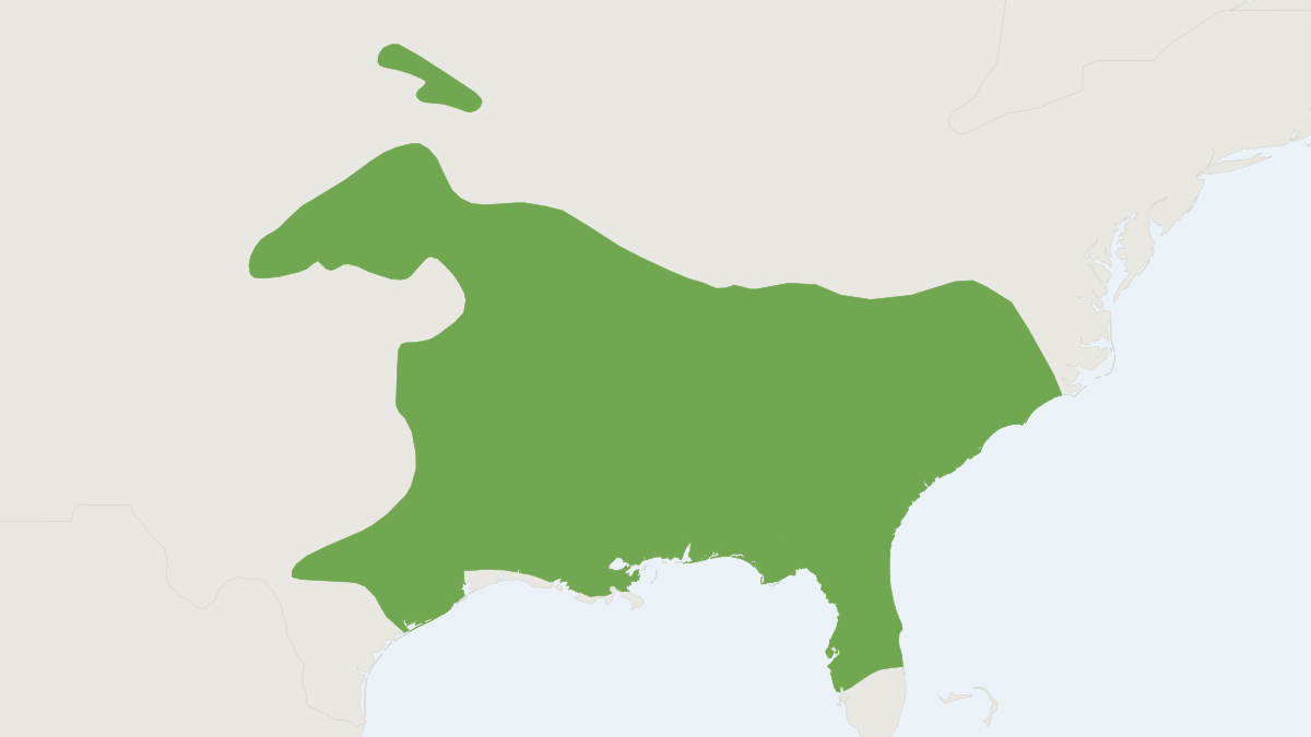 Range map of the Eastern Woodrat (Neotoma floridana)