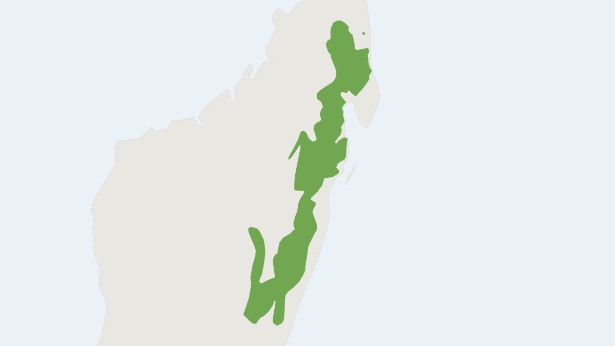 Range map of the Eastern Woolly Lemur (Avahi laniger) covering Madagascar