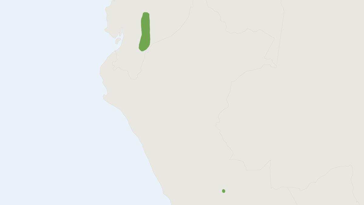 Range map of the Ecuadorean Rice Rat (Nephelomys auriventer)