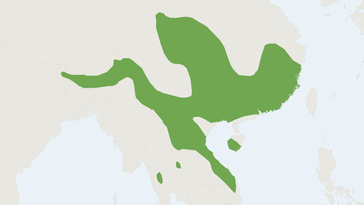 Range map of the Edward’s Rat (Leopoldamys edwardsi)