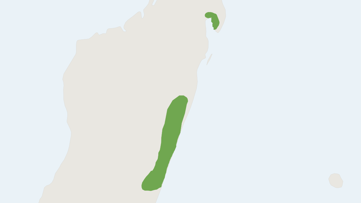 Range map of the Eger’s Long-fingered Bat (Miniopterus egeri)