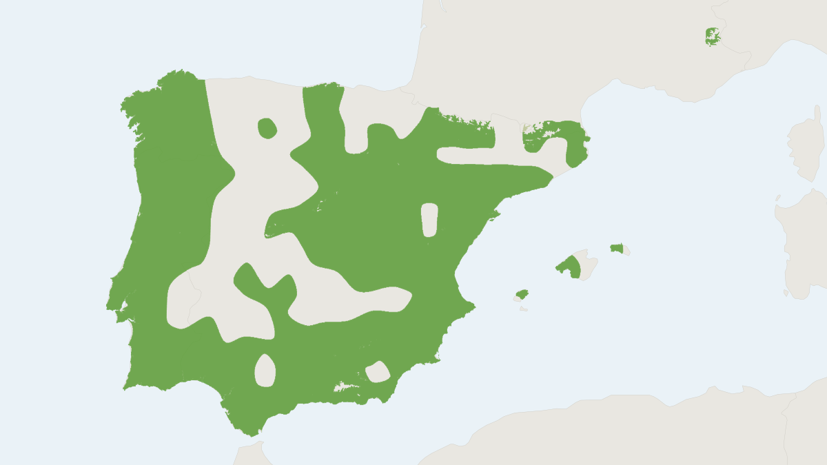 Range map of the Escalera’s Bat (Myotis escalerai)