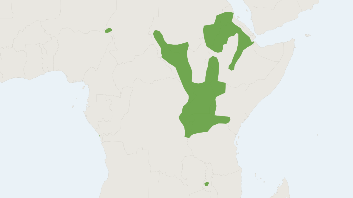 Range map of the Ethiopian Epauletted Fruit Bat (Epomophorus labiatus)