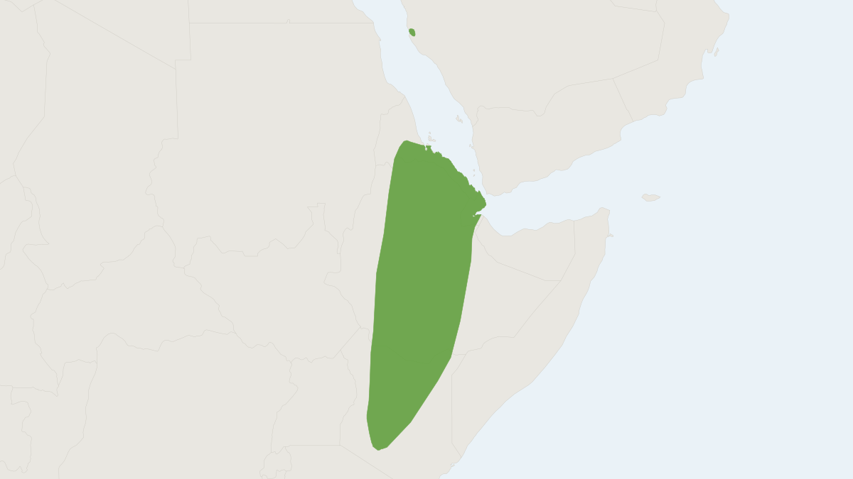 Range map of the Ethiopian Large-eared Roundleaf Bat (Hipposideros megalotis)