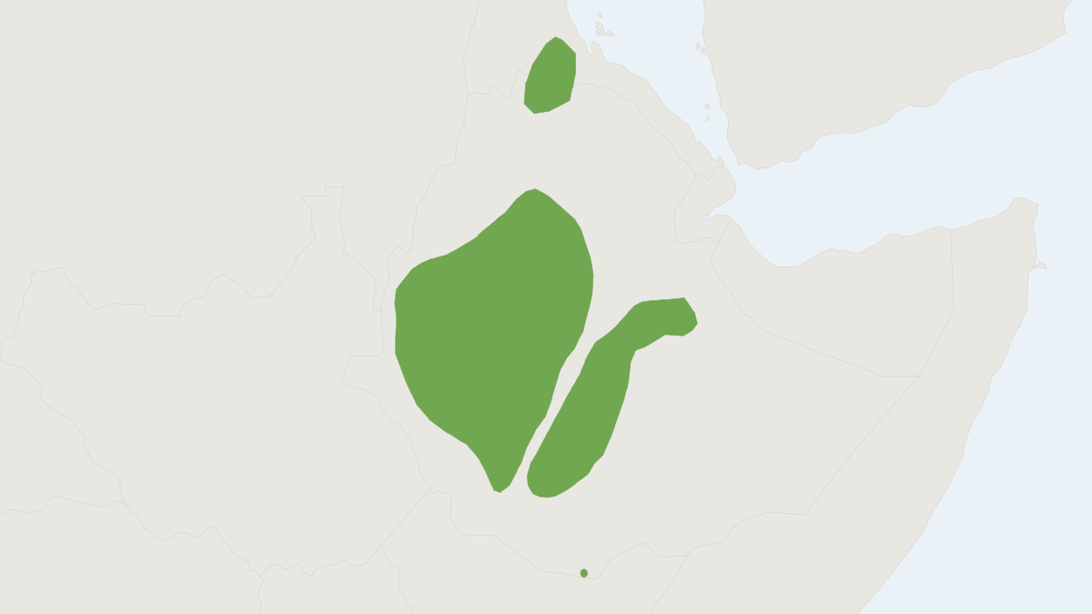 Range map of the Ethiopian White-footed Mouse (Stenocephalemys albipes)
