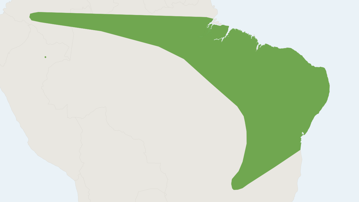 Range map of the Eumops delticus (Eumops delticus)