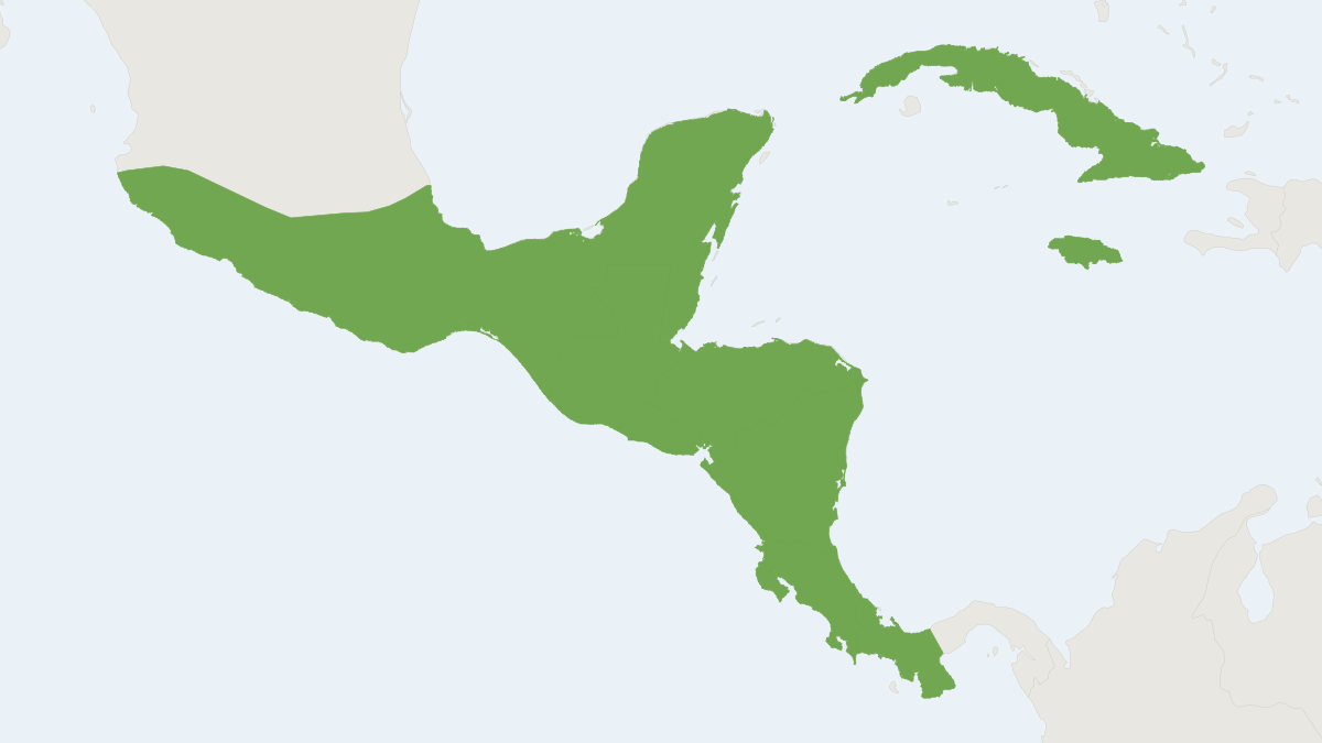 Range map of the Eumops ferox (Eumops ferox)