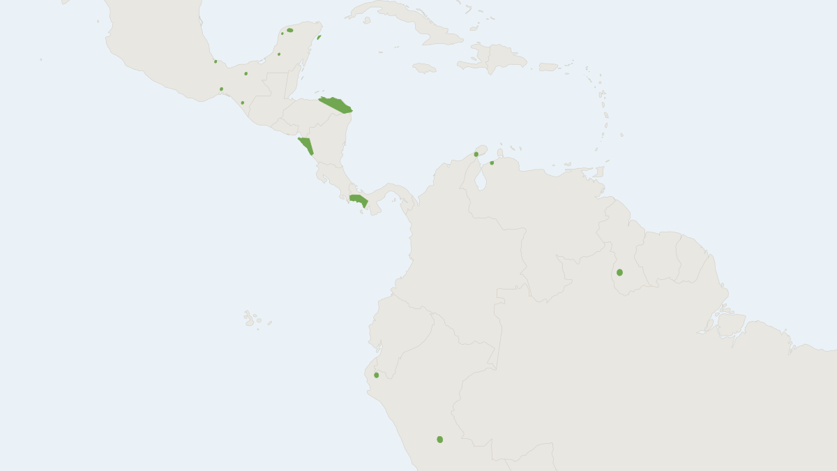 Range map of the Eumops nanus (Eumops nanus)