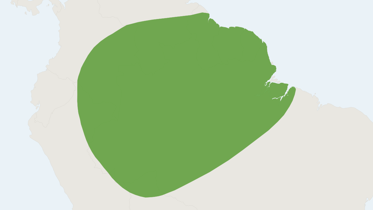 Range map of the Eumops trumbulli (Eumops trumbulli)