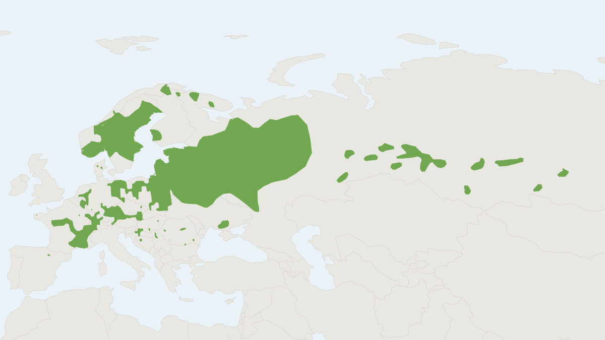Range map of the Eurasian Beaver (Castor fiber) covering Belgium, China and France