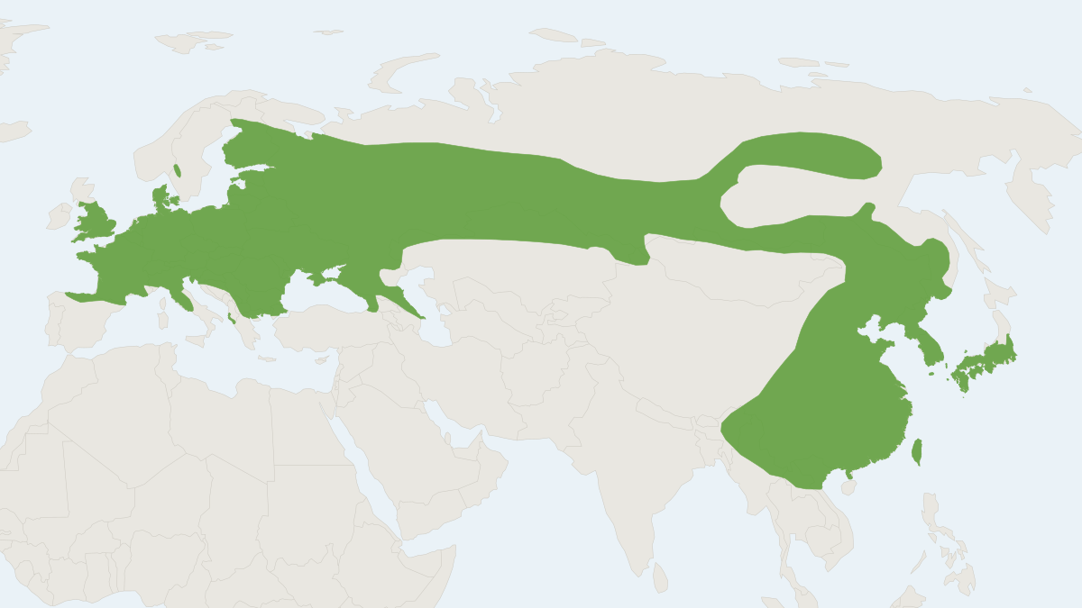 Range map of the Eurasian Harvest Mouse (Micromys minutus)