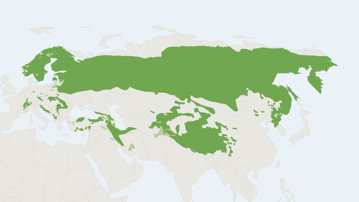 Range map of the Eurasian Lynx (Lynx lynx) covering China, Mongolia and Russia