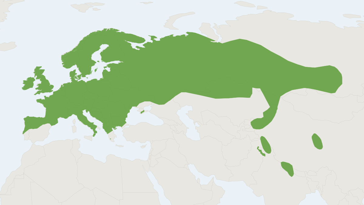 Range map of the Eurasian Pygmy Shrew (Sorex minutus)
