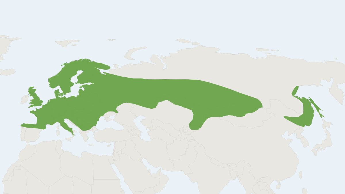 Range map of the Eurasian Water Shrew (Neomys fodiens)