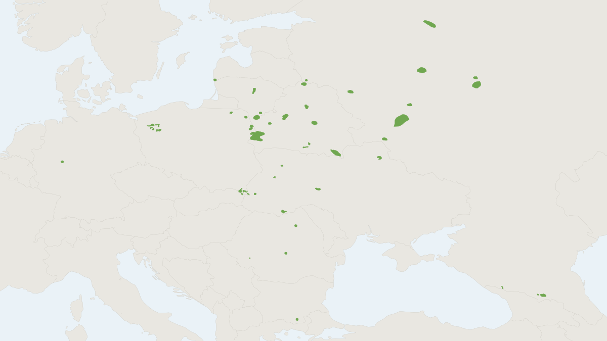 Range map of the European Bison (Bison bonasus) covering Belarus, Germany and Lithuania