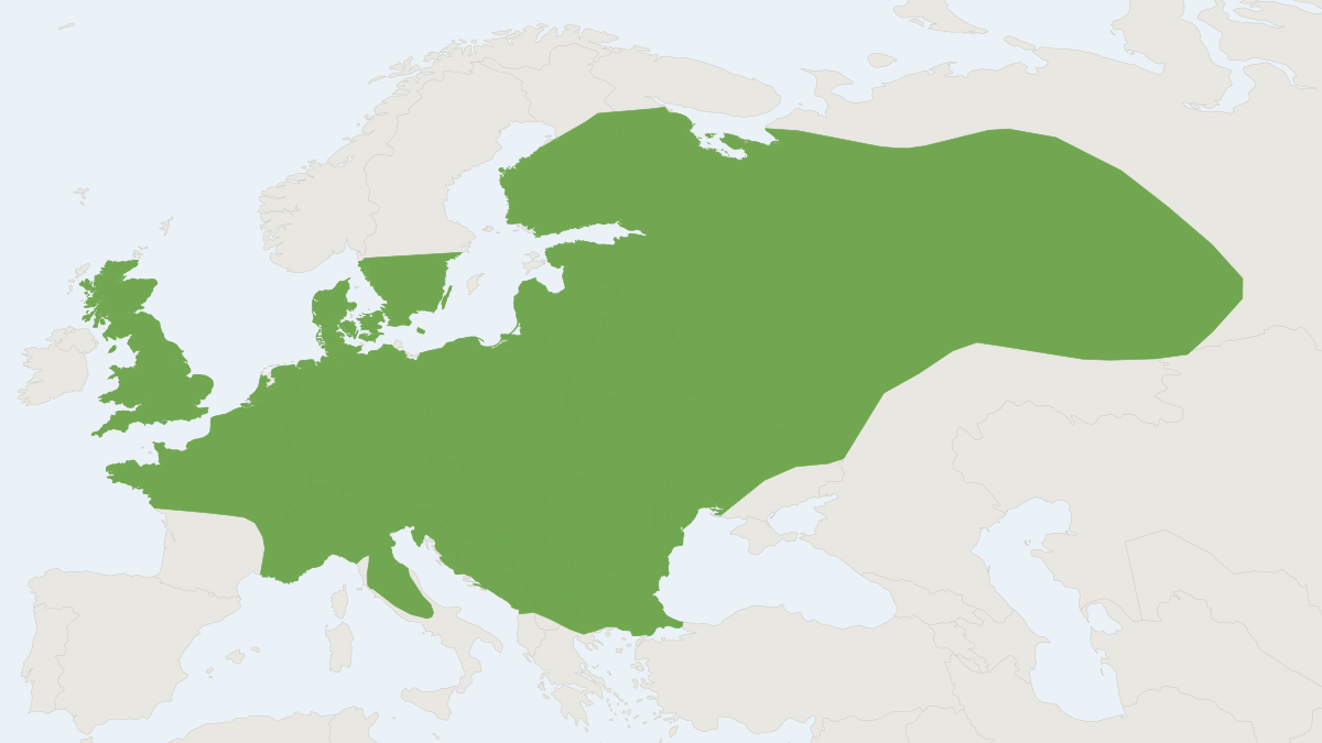 Range map of the European Mole (Talpa europaea)