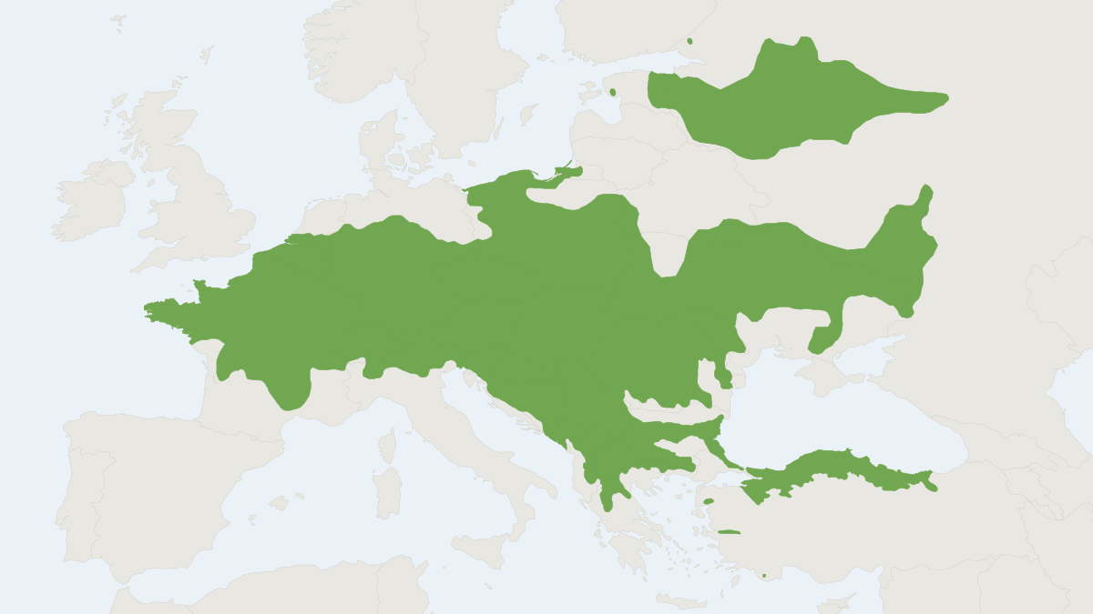 Range map of the European Pine Vole (Microtus subterraneus)