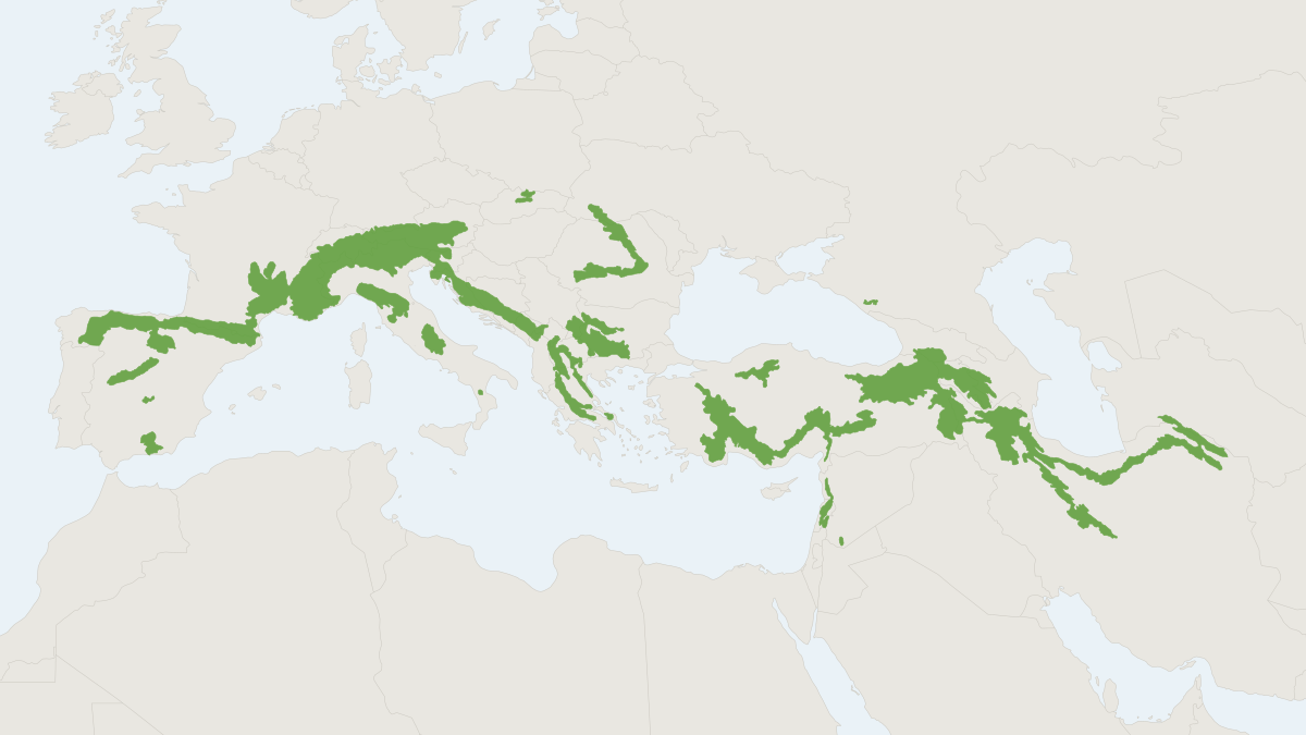 Range map of the European Snow Vole (Chionomys syriacus) covering Israel, Jordan and Lebanon