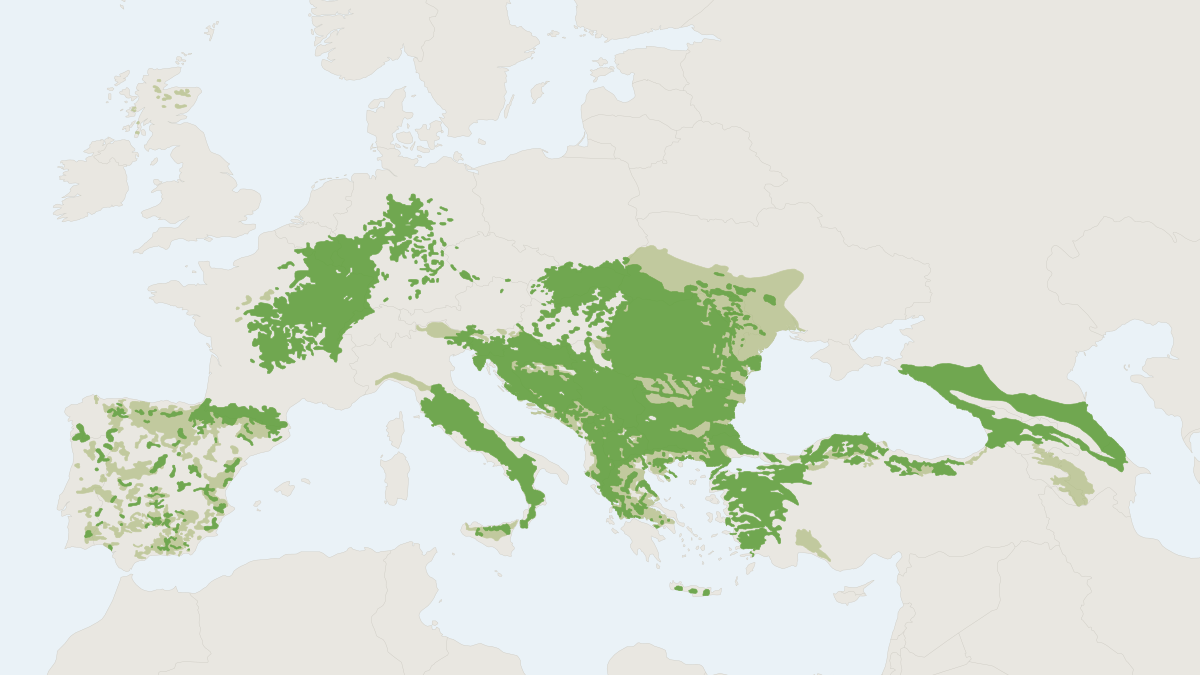 Range map of the European Wildcat (Felis silvestris)