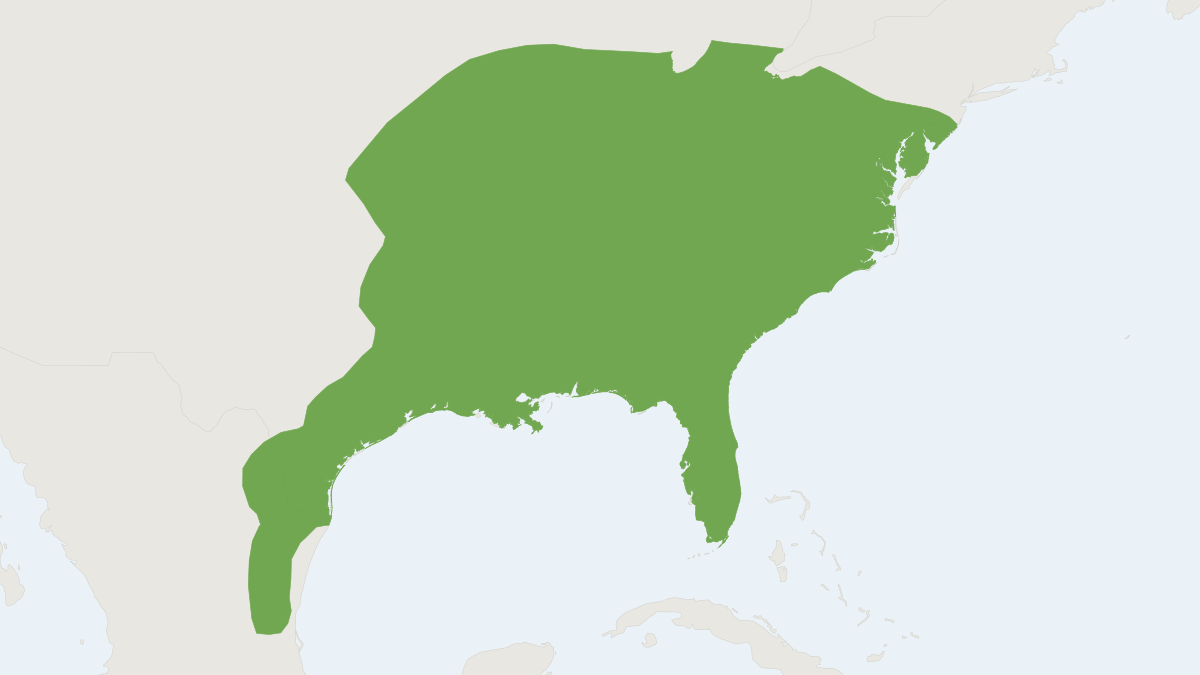 Range map of the Evening Bat (Nycticeius humeralis)