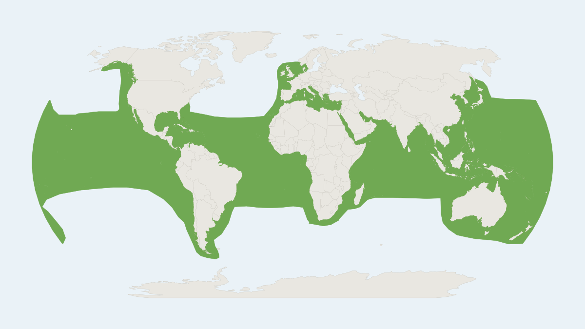 Range map of the False Killer Whale (Pseudorca crassidens)