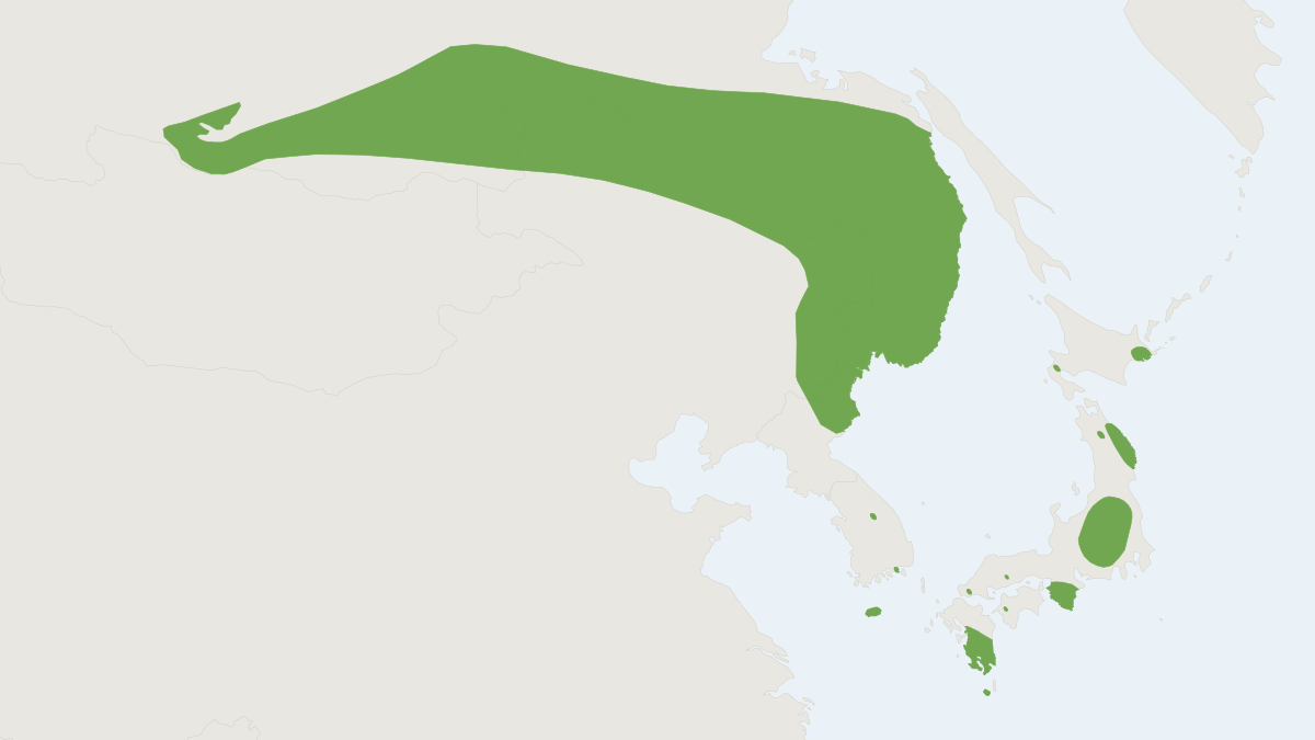 Range map of the Far Eastern Myotis (Myotis bombinus)