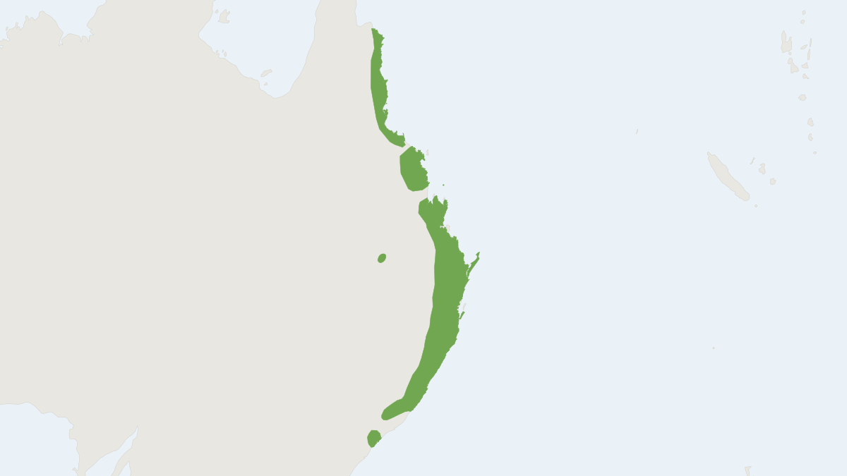 Range map of the Fawn-footed Melomys (Melomys cervinipes)