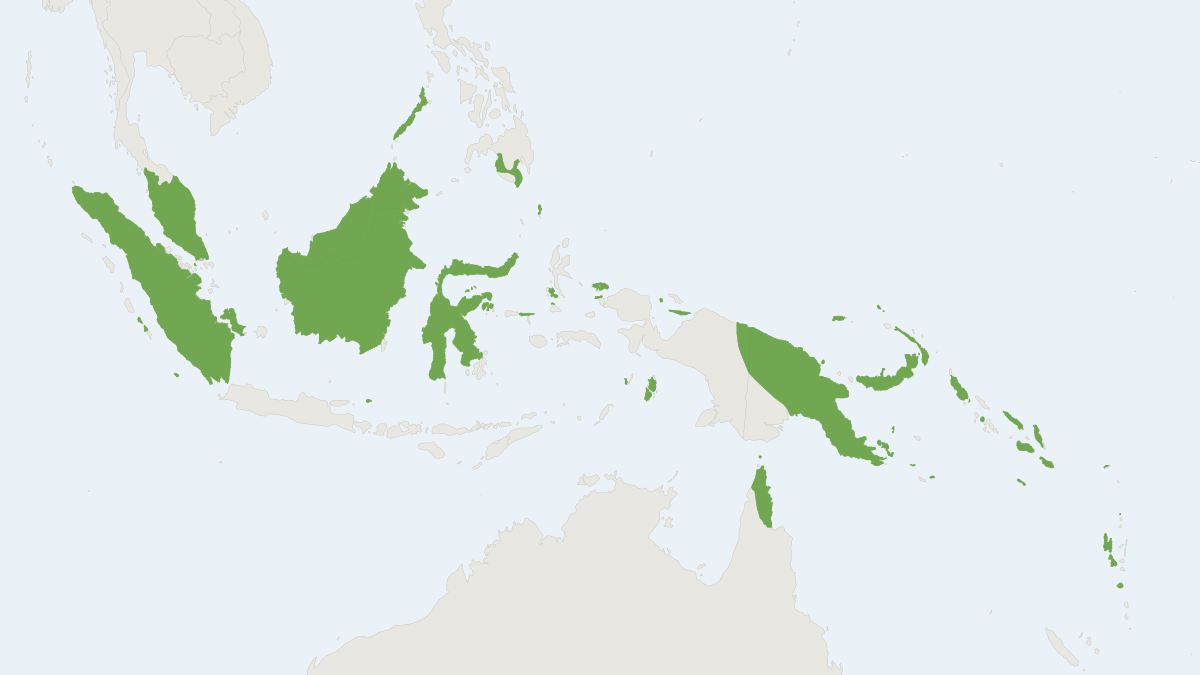 Range map of the Fawn Leaf-nosed Bat (Hipposideros cervinus)