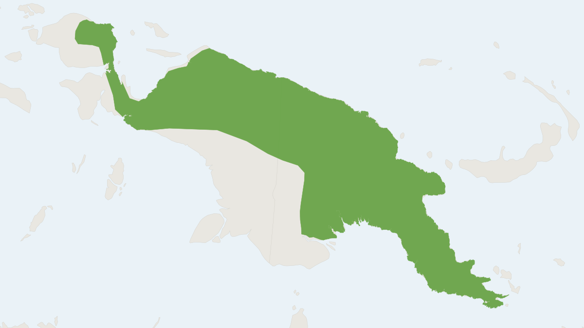 Range map of the Feather-tailed Possum (Distoechurus pennatus)